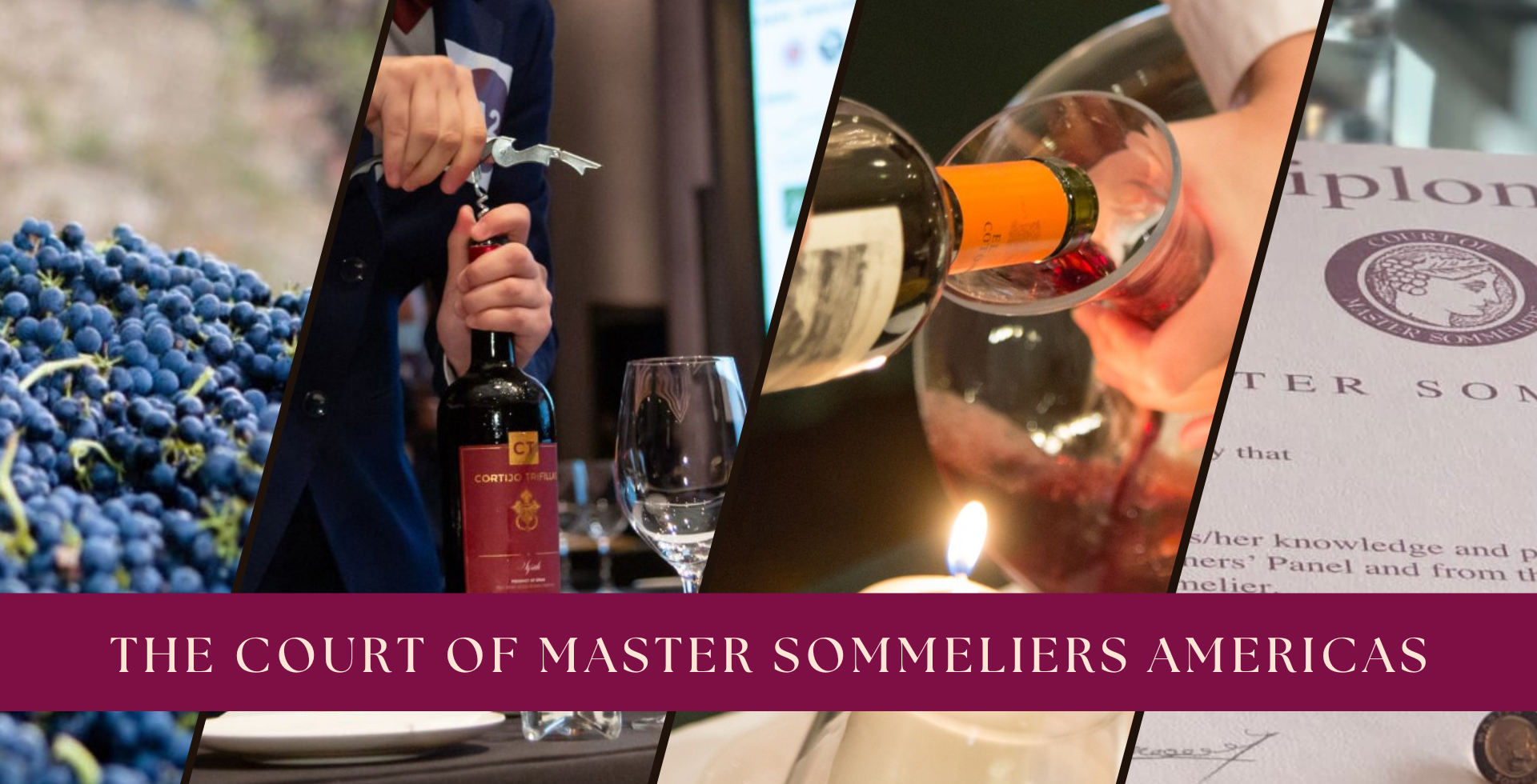 The Court of Master Sommeliers Americas _1_